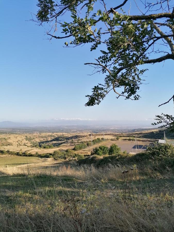 مبيت وإفطار سانتو لوسورغيو Deiana المظهر الخارجي الصورة